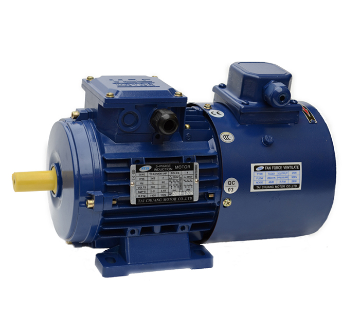 臥式變頻電機(jī) 臥式變頻電機(jī)